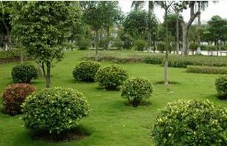 綠化工程招標(biāo)代理典型業(yè)績(jī) 綠化工程招標(biāo)代理典型業(yè)績(jī)