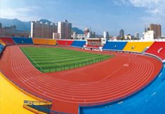 臨潼區人民體育場田徑場改造提升項目 臨潼區人民體育場田徑
場改造提升項目