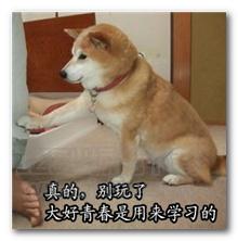 同為造價人,他是如何做到年入百萬的 同為造價人,他是如何做到年入百萬的